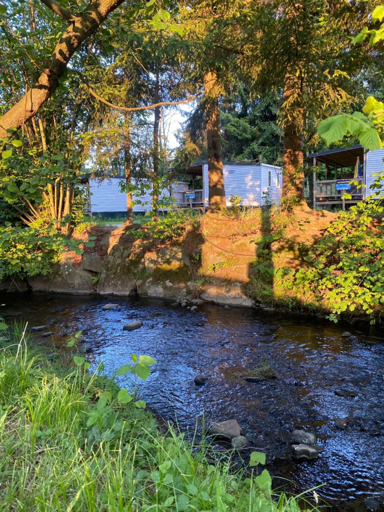 S-Chalet Camping Mit Comfort Im Schwarzwald Steinach  Εξωτερικό φωτογραφία